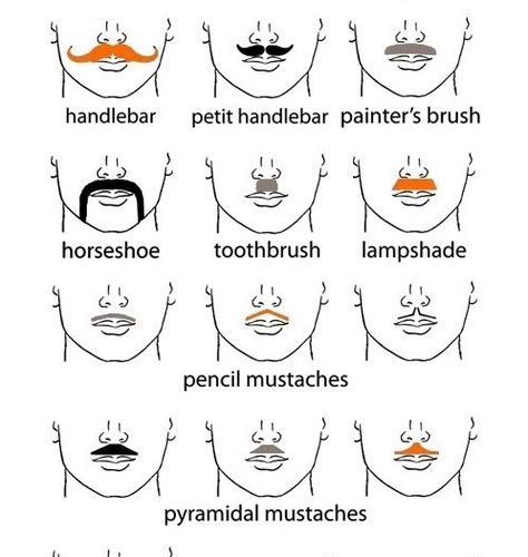 moustache types