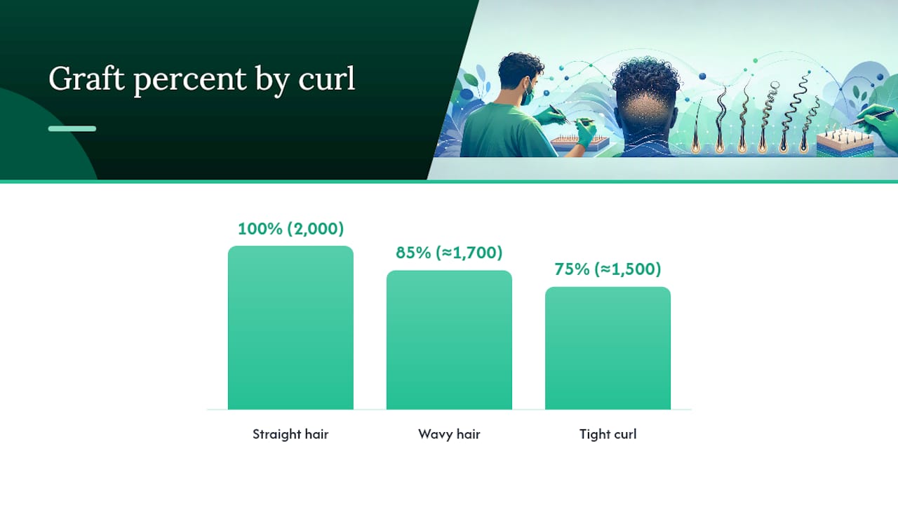 Comparison of graft requirements by hair curl type
