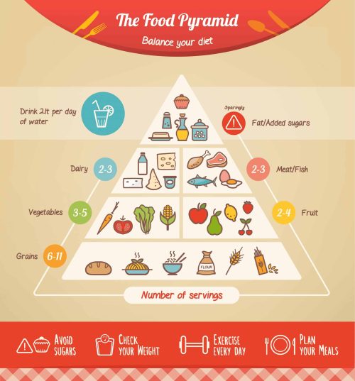 The food pyramid infographic with food icons and categories, for hair transplant